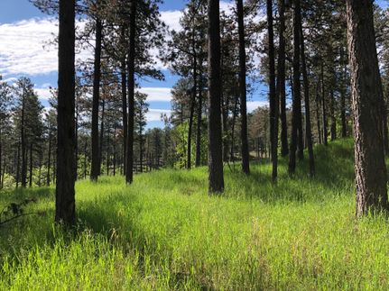 Land in Pennington County, South Dakota