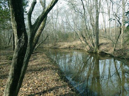 Recreational Property in Brunswick County, Virginia