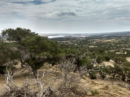 Farm and Ranch in Duchesne County, Utah