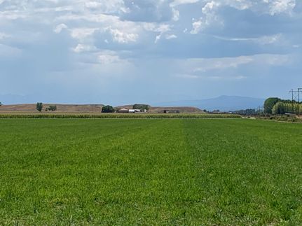 Farm and Ranch in Montrose County, Colorado