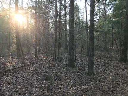 Farm and Ranch in Fairfield County, South Carolina