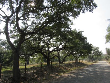 Undeveloped Land in Washington County, Texas