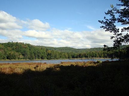 Timberland Property in Rutland County, Vermont