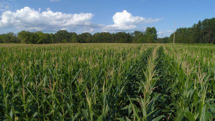 Land in Adams County, Wisconsin