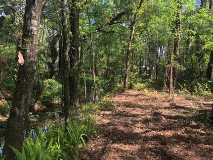 Farm and Ranch in Brevard County, Florida