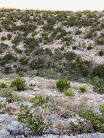 Farm and Ranch in Val Verde County, Texas