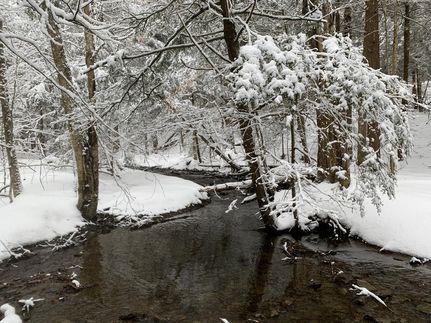 Commercial Property in Cortland County, New York