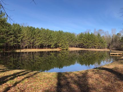 Farm and Ranch in Bullock County, Alabama