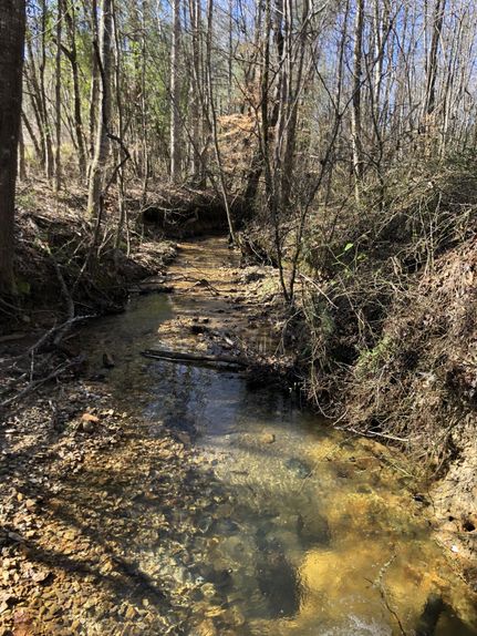 Recreational Property in Clay County, Alabama