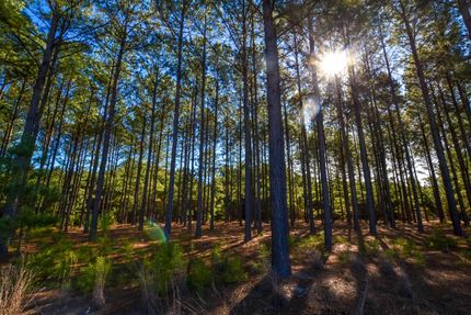 Recreational Property in Henderson County, Texas