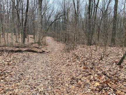 Undeveloped Land in Jasper County, Illinois