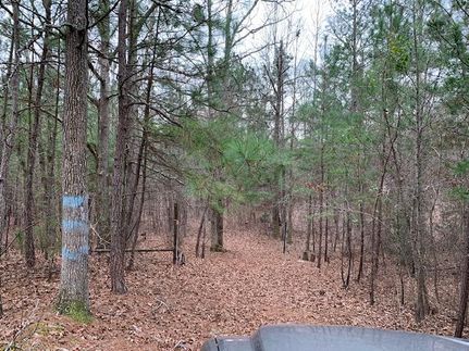 Timberland Property in Polk County, Georgia