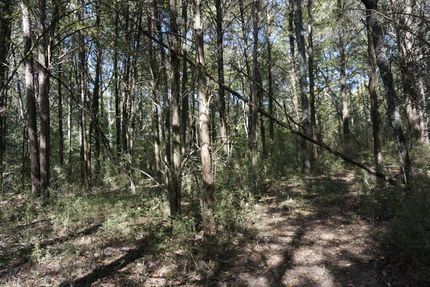 Recreational Property in Chester County, South Carolina