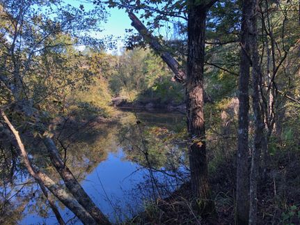 Undeveloped Land in Emanuel County, Georgia