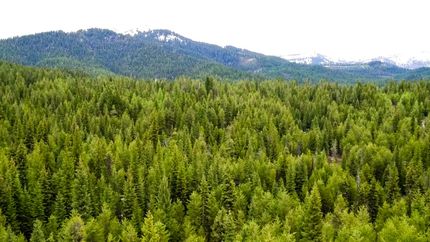 Recreational Property in Valley County, Idaho