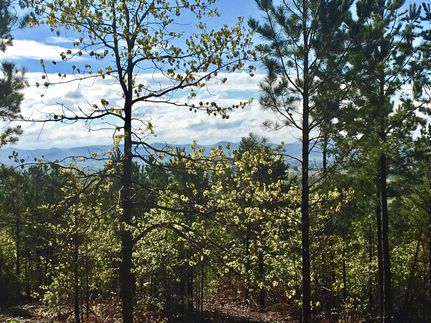 Undeveloped Land in Pushmataha County, Oklahoma