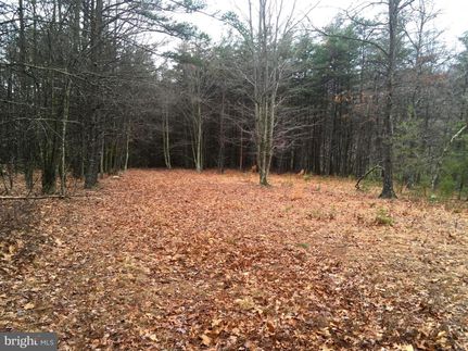 Undeveloped Land in Hardy County, West Virginia