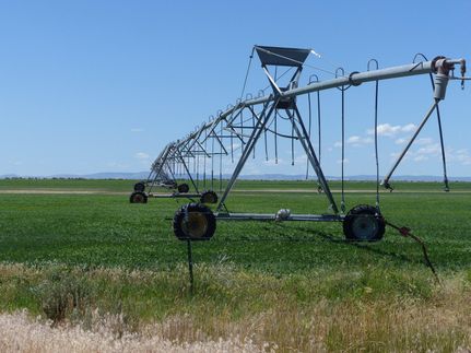 Undeveloped Land in Harney County, Oregon