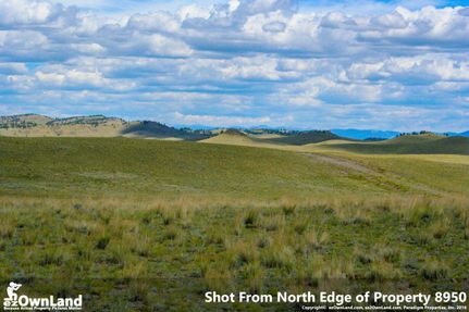 Undeveloped Land in Park County, Colorado