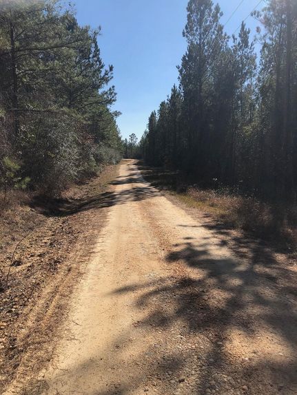 Recreational Property in Choctaw County, Alabama