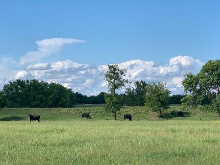 Farm and Ranch in Hopkins County, Texas