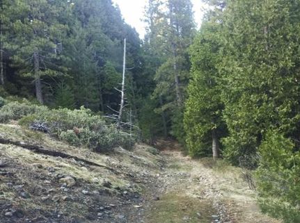 Farm and Ranch in Sierra County, California