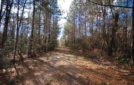 Farm and Ranch in Hardin County, Texas