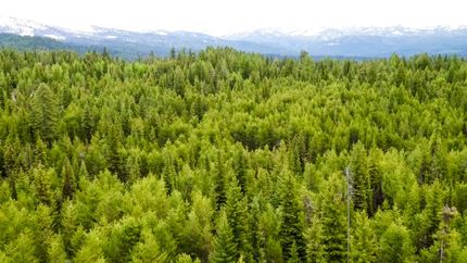 Land in Valley County, Idaho