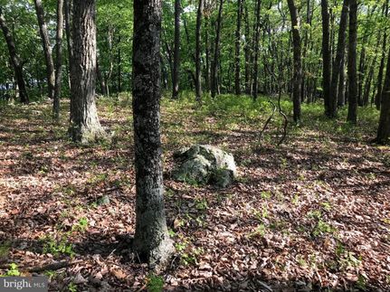 Recreational Property in Hardy County, West Virginia