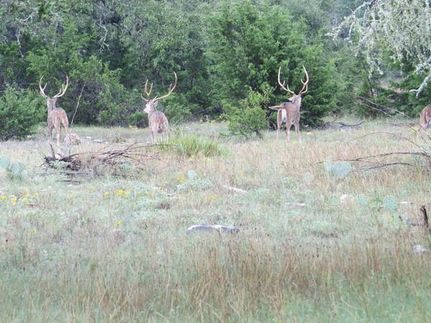 Commercial Property in Edwards County, Texas
