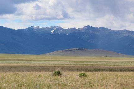 Timberland Property in Elko County, Nevada