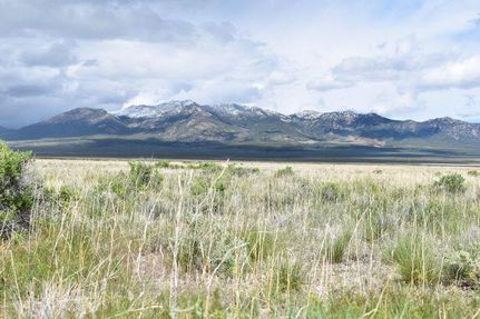 Timberland Property in Elko County, Nevada