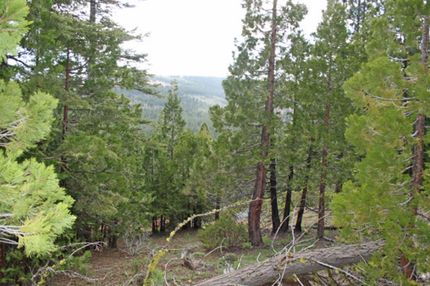 Timberland Property in Modoc County, California