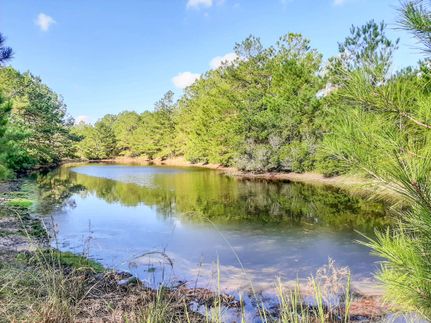 Timberland Property in Walker County, Texas