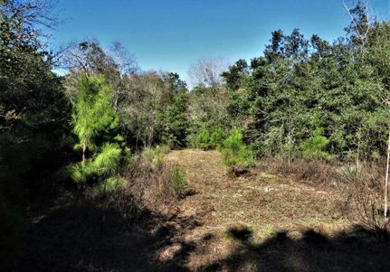 Recreational Property in Grimes County, Texas