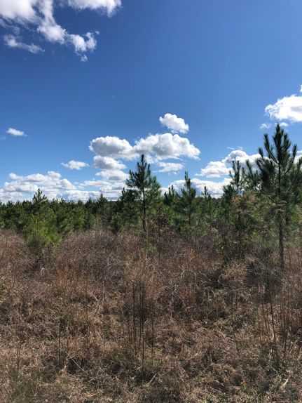 Recreational Property in Emanuel County, Georgia
