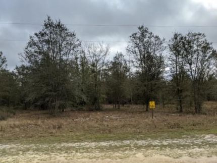Farm and Ranch in Suwannee County, Florida