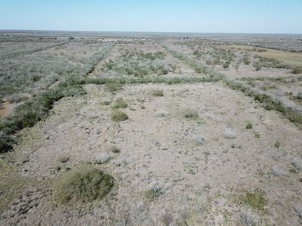 Farm and Ranch in Jim Wells County, Texas