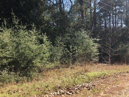 Commercial Property in Houston County, Texas