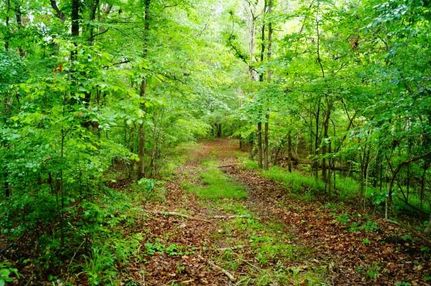 Farm and Ranch in Yazoo County, Mississippi
