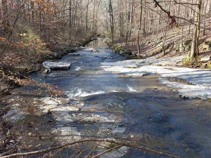Timberland Property in Coosa County, Alabama