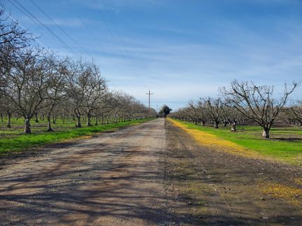 Recreational Property in San Joaquin County, California