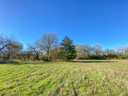 Undeveloped Land in Washington County, Texas