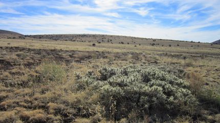 Recreational Property in Apache County, Arizona