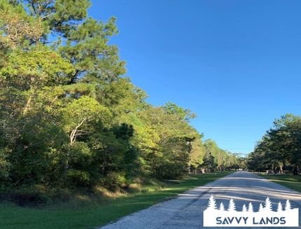Undeveloped Land in Liberty County, Texas