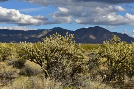 Hunting Property in Mohave County, Arizona