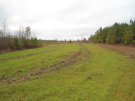 Farm and Ranch in Lauderdale County, Mississippi