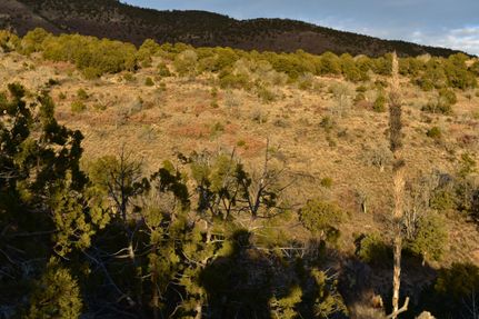 Recreational Property in Otero County, New Mexico