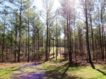 Timberland Property in Carroll County, Georgia