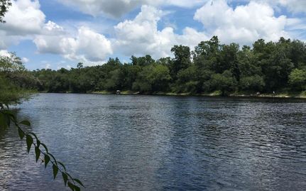 Land in Lafayette County, Florida